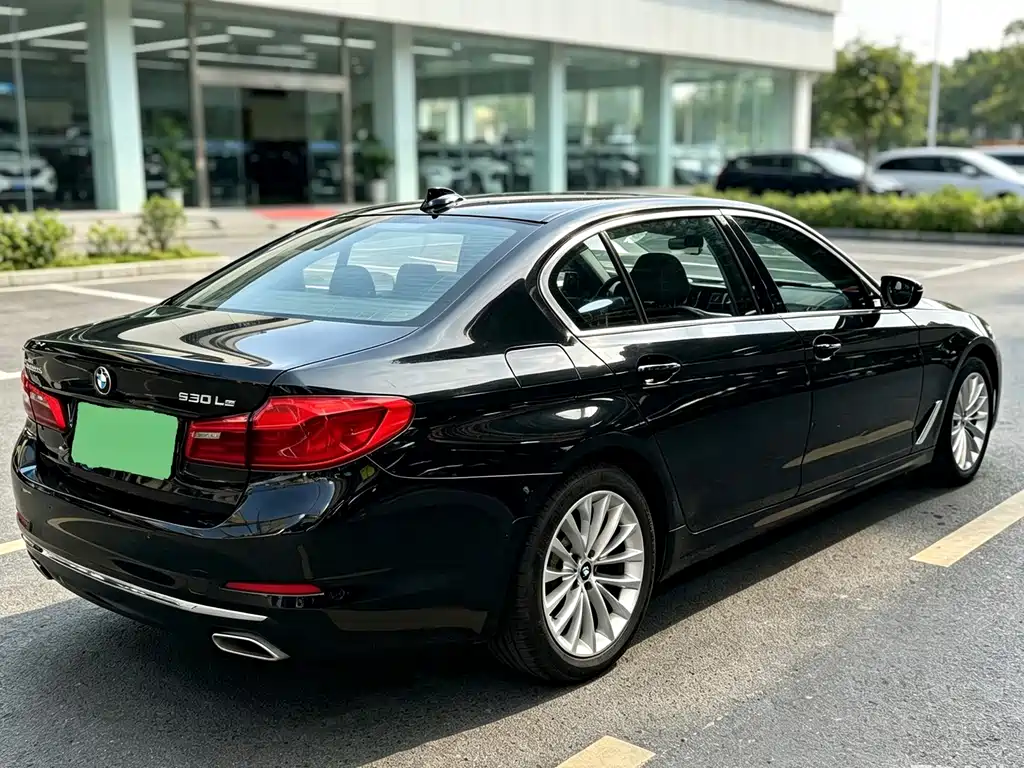 BMW 5 Series New Energy 2020 — фото 3