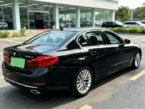 BMW 5 Series New Energy 2020