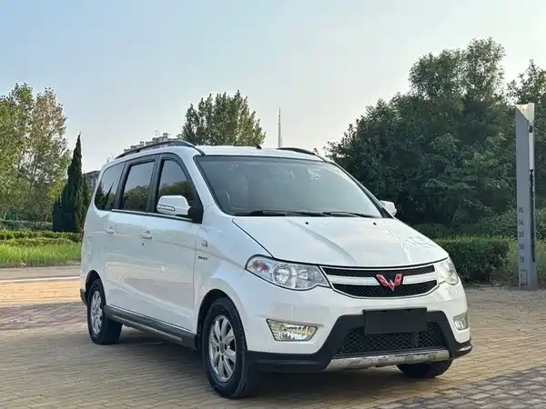 Wuling Hongguang 2014