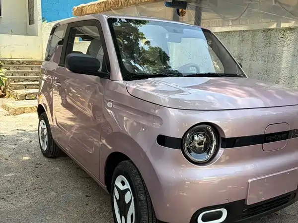 Geely Galaxy Panda 2026