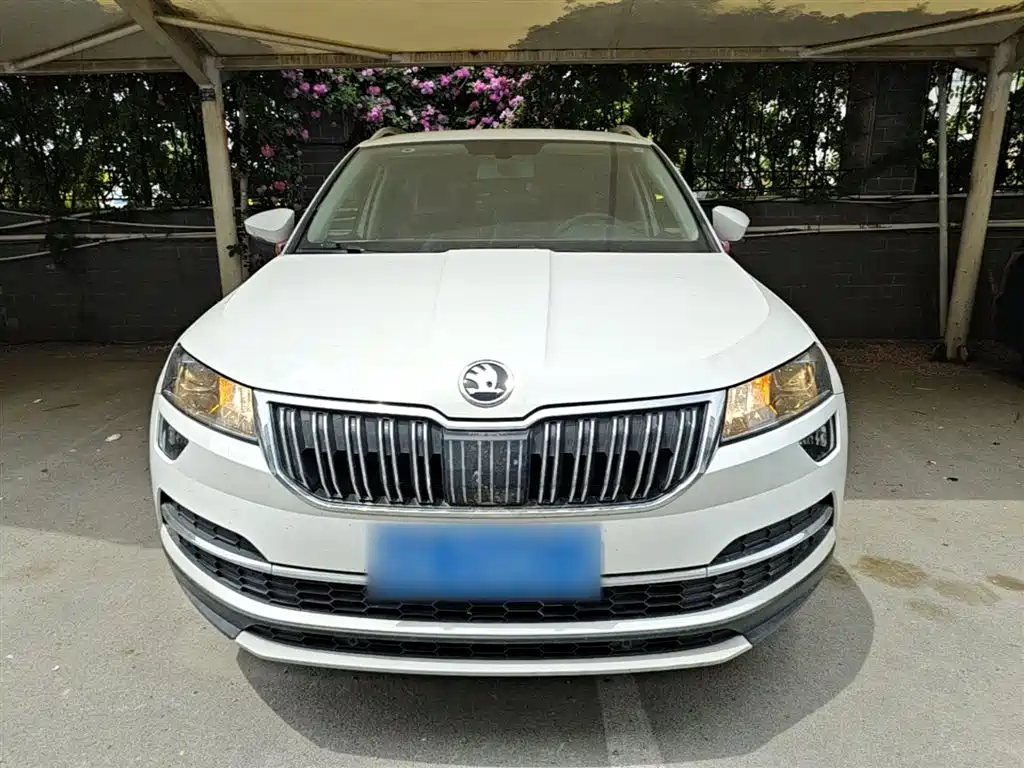 Skoda Karoq 2020 — фото 3