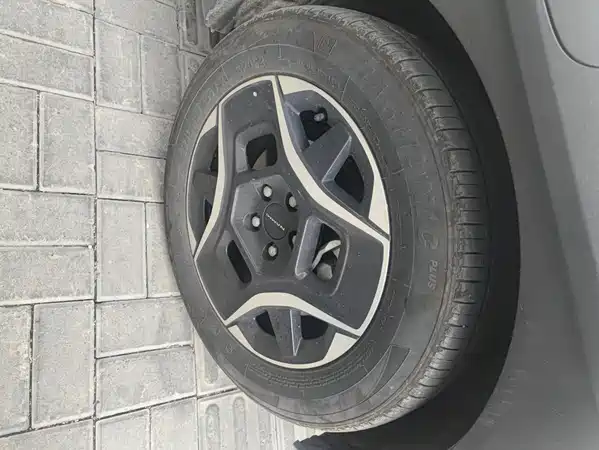Dongfeng Nano 06 2025