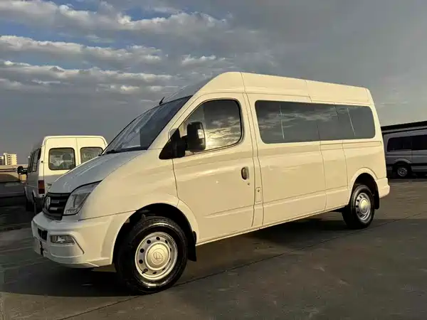 Maxus V80 2022