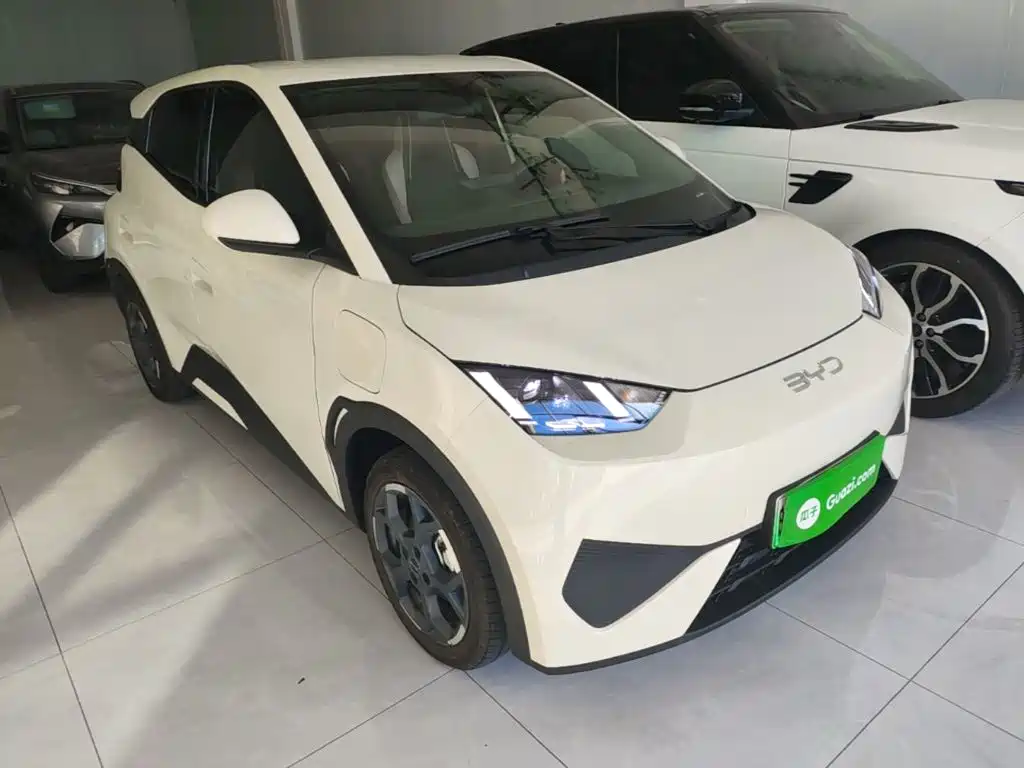 BYD Seagull 2025