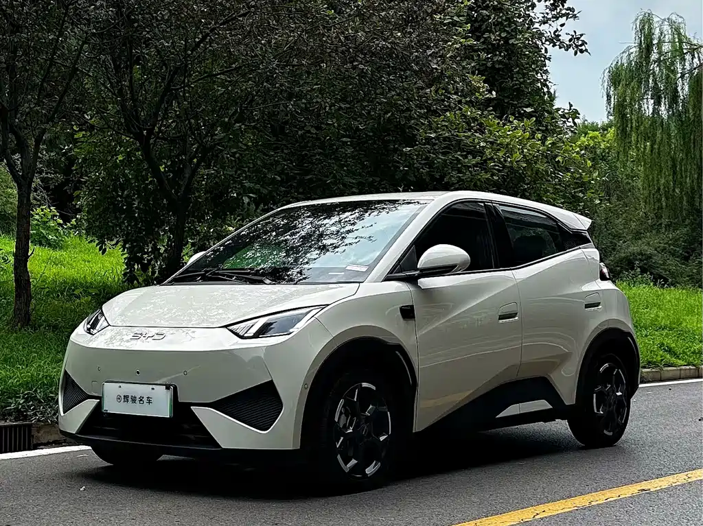 BYD Seagull 2025