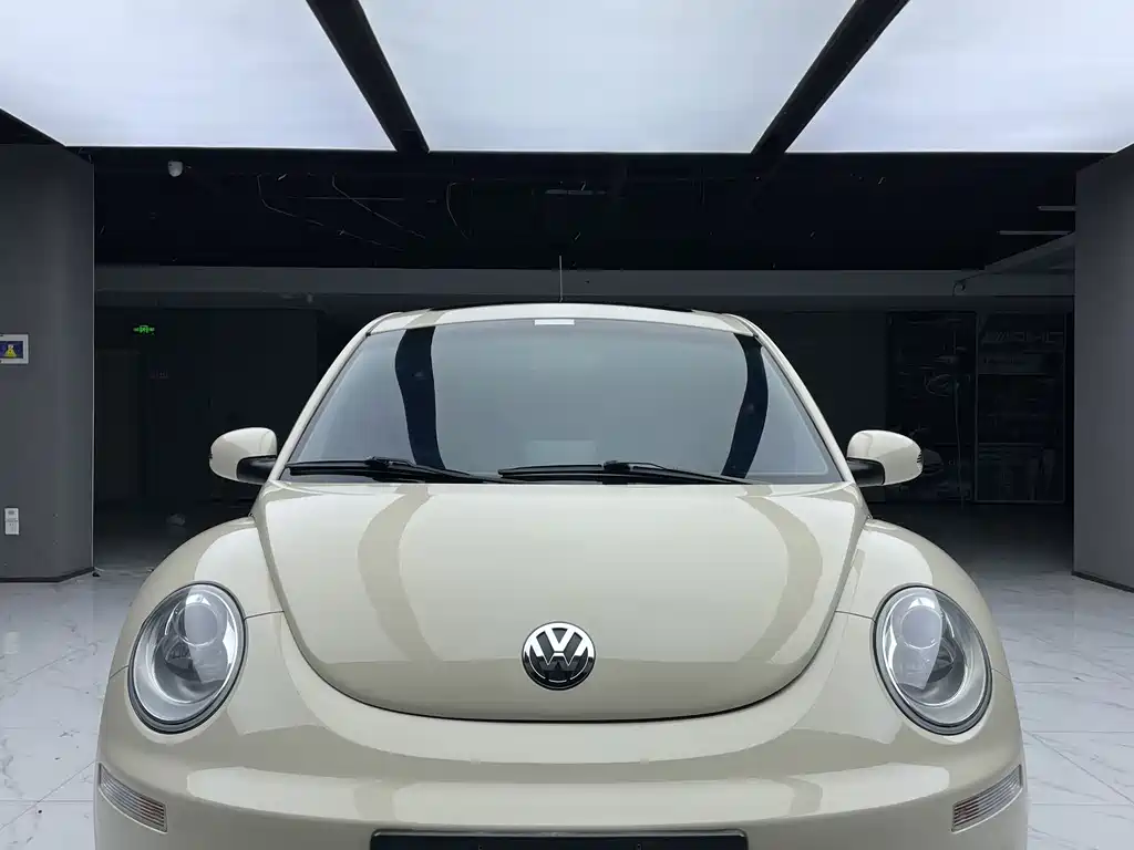 Volkswagen Beetle 2011