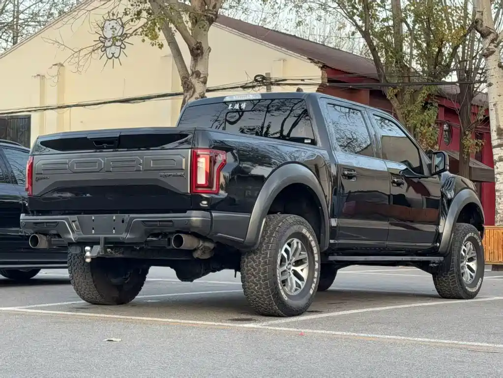 Ford F-150 Raptor 2017 — фото 3
