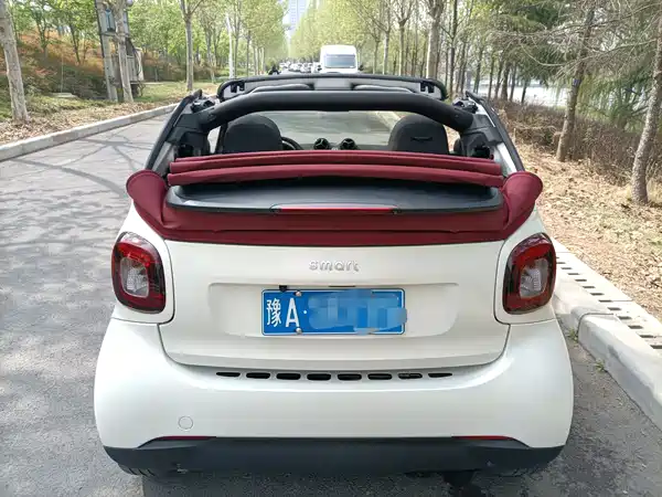 smart fortwo 2019