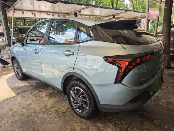 Neta V 2021