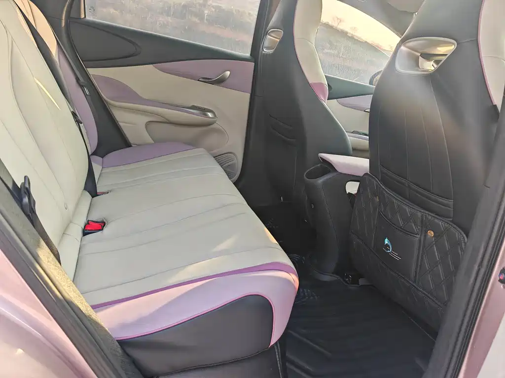 BYD Dolphin 2023