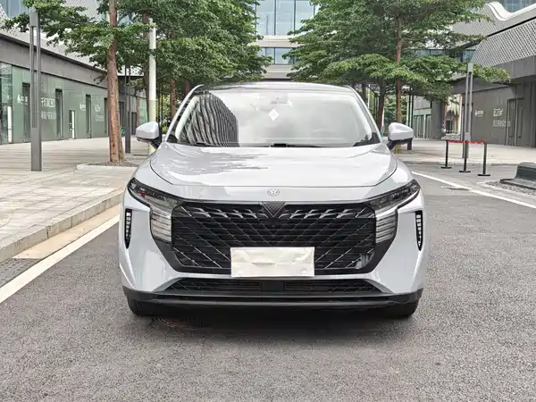 Venucia Big V 2023
