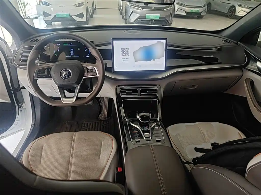 BYD Qin PLUS 2024 — фото 10