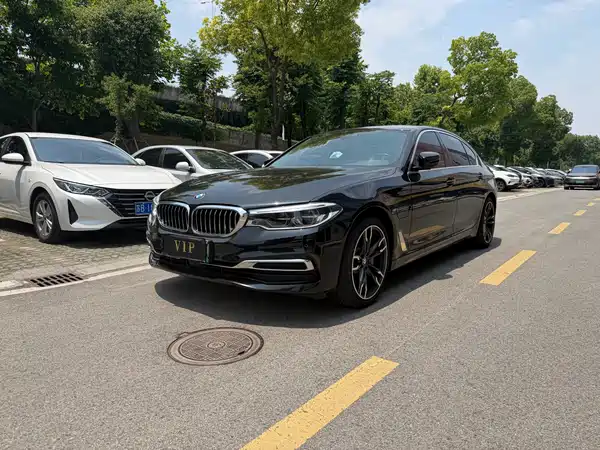 BMW 5 Series New Energy 2020