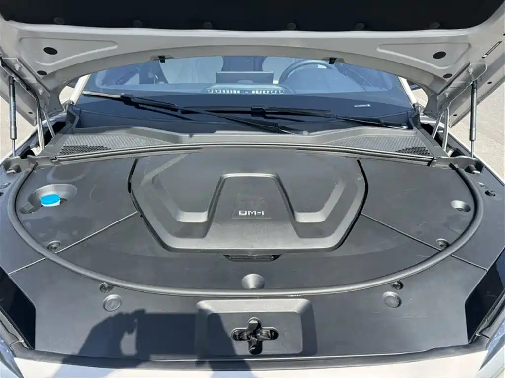 BYD PLUS New Energy 2023 — фото 11