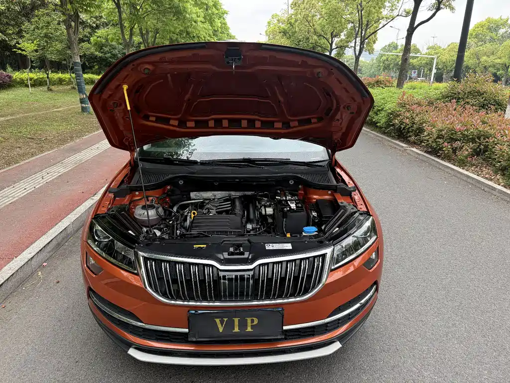 Skoda Karoq 2021 — фото 9