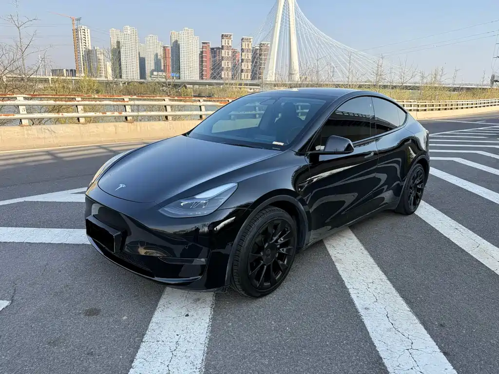 Tesla Model Y 2021 — фото 1