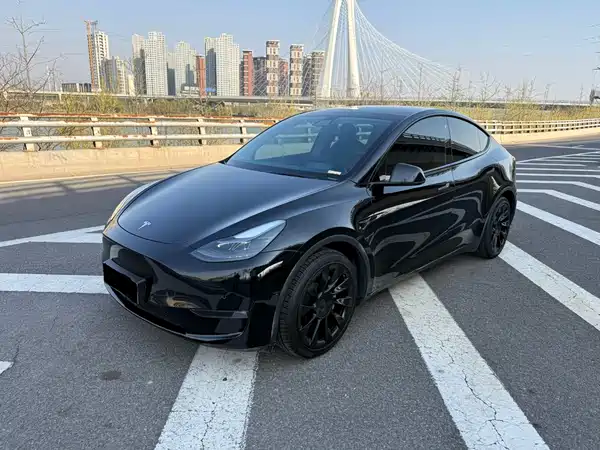 Tesla Model Y 2021