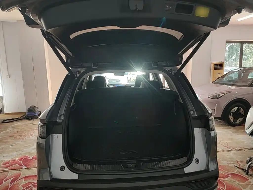 BYD Sealion 05 DM-i 2025 — фото 19