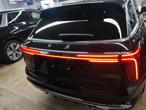 Hongqi E-HS9 2023
