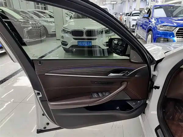 BMW 5 Series New Energy 2020