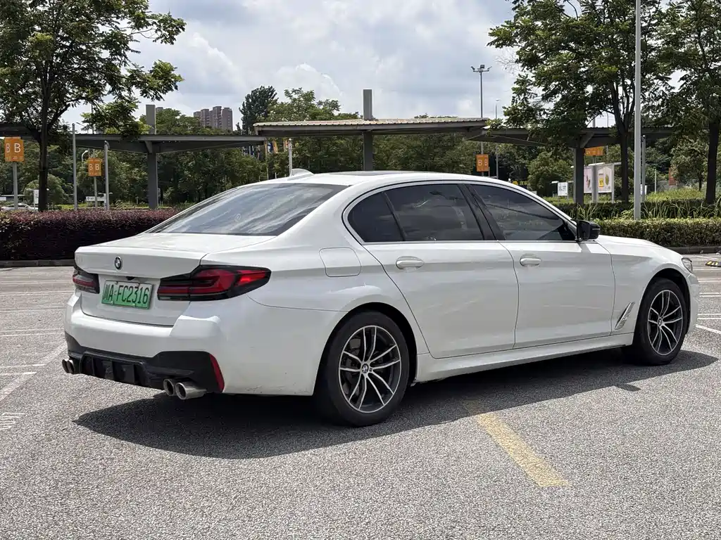 BMW 5 Series New Energy 2021 — фото 14