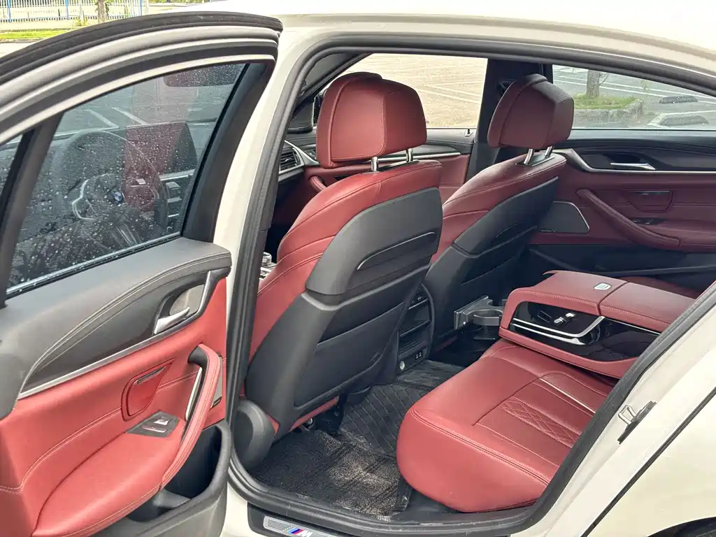 BMW 5 Series New Energy 2021