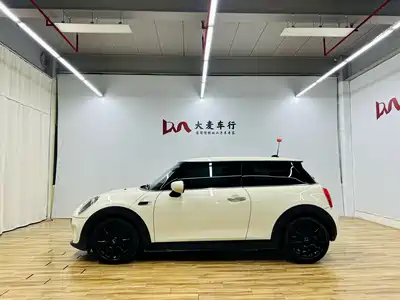 MINI MINI 2019