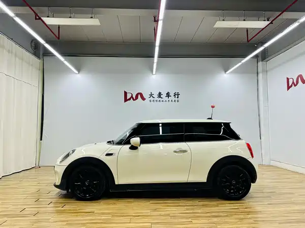 MINI MINI 2019