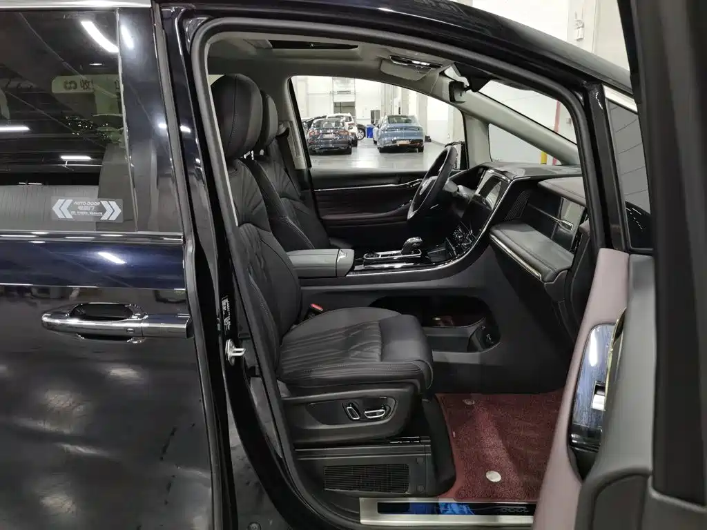 GAC Trumpchi M8 2024 — фото 23