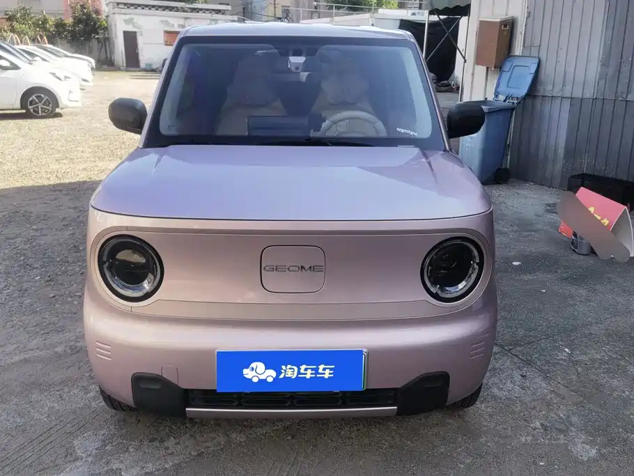 Geely Galaxy Panda 2024