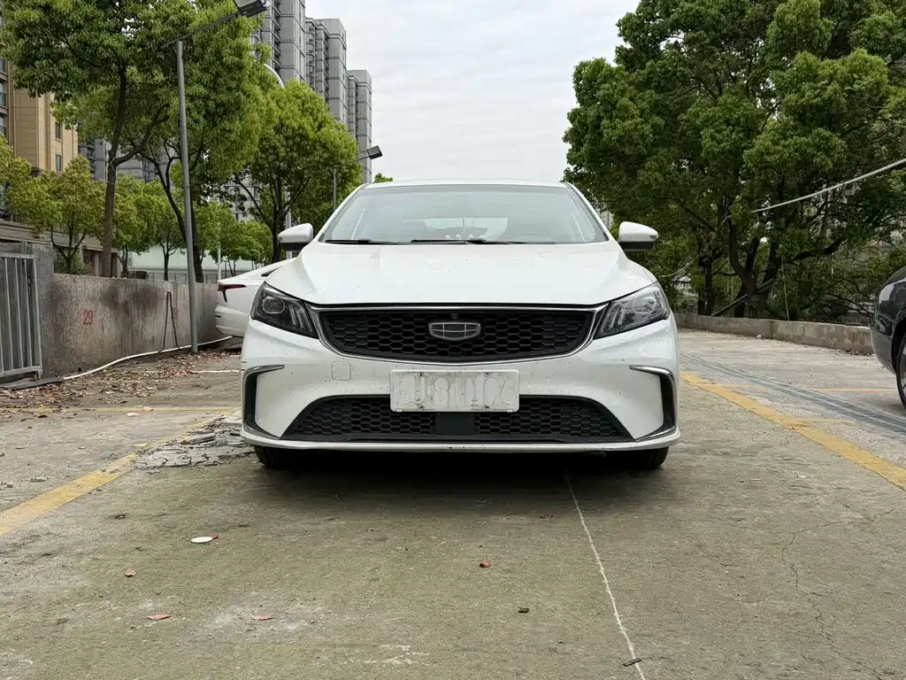Geely Binrui 2021