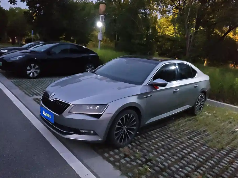 Skoda Speedy 2017