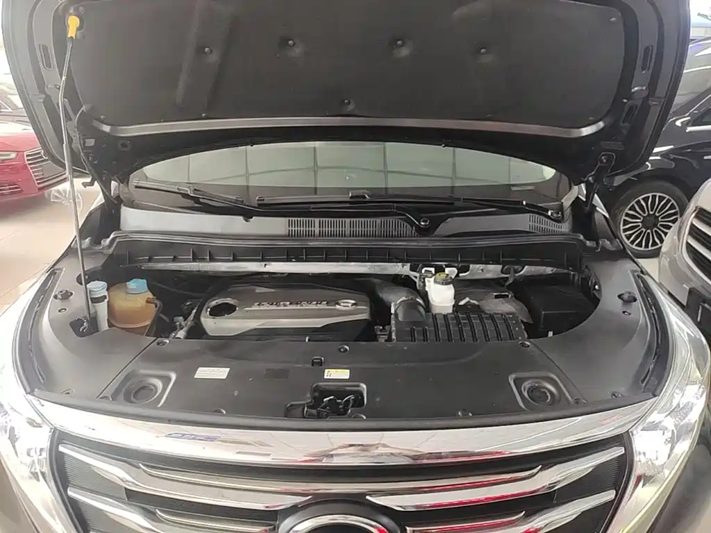 GAC Motor Trumpchi M8 2018 — фото 20