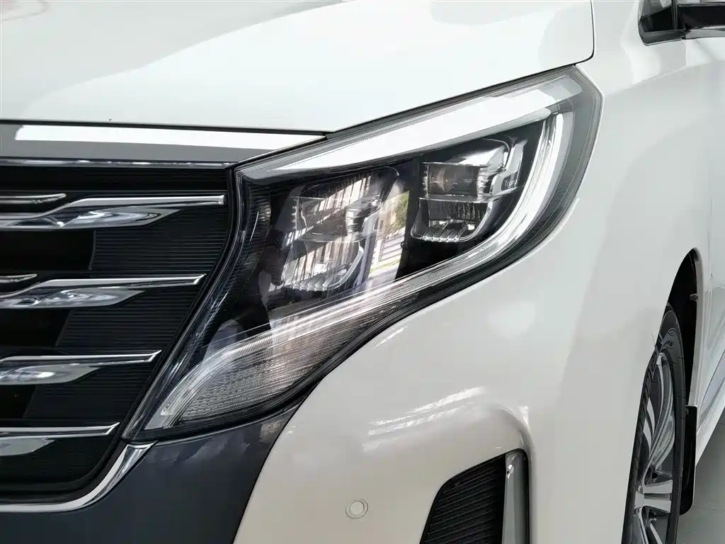 GAC Motor Trumpchi M8 2020