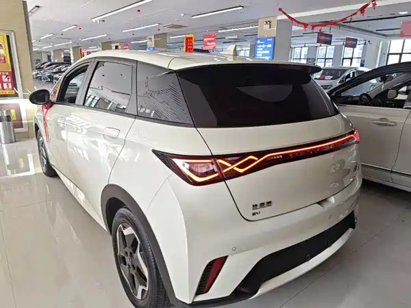 BYD Dolphin 2021