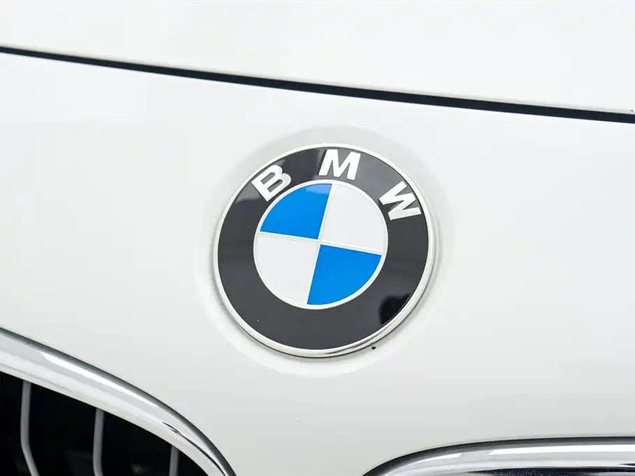 BMW 3 Series GT 2017 — фото 9