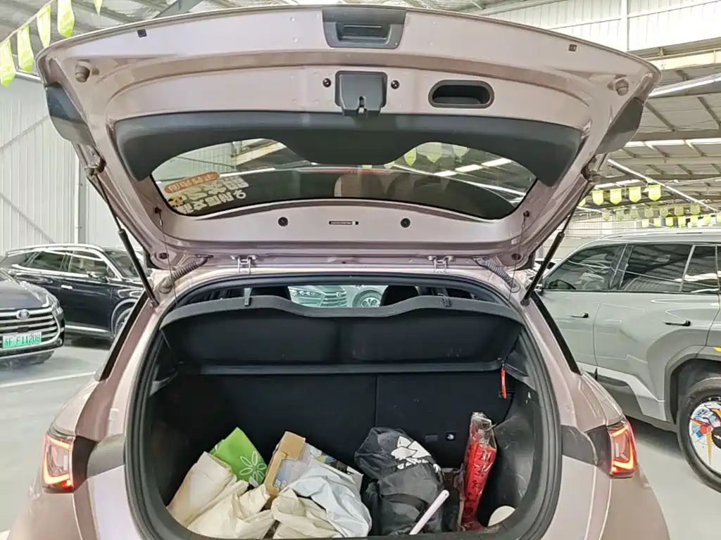 BYD Dolphin 2023 — фото 19