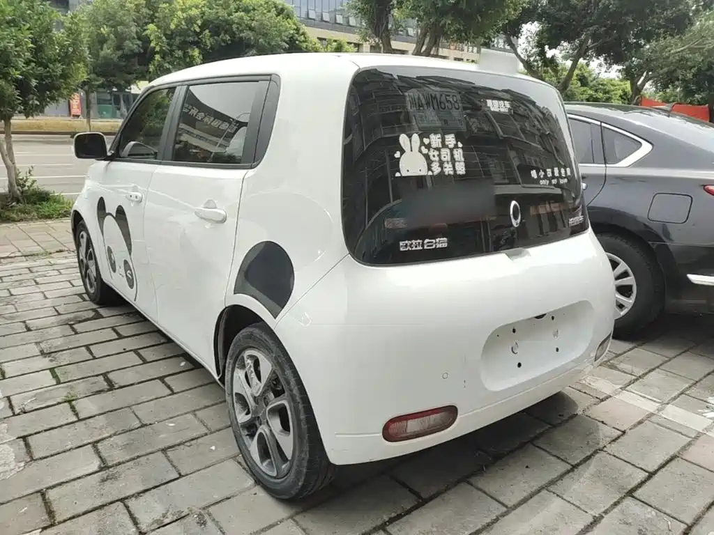 Ora White Cat 2021