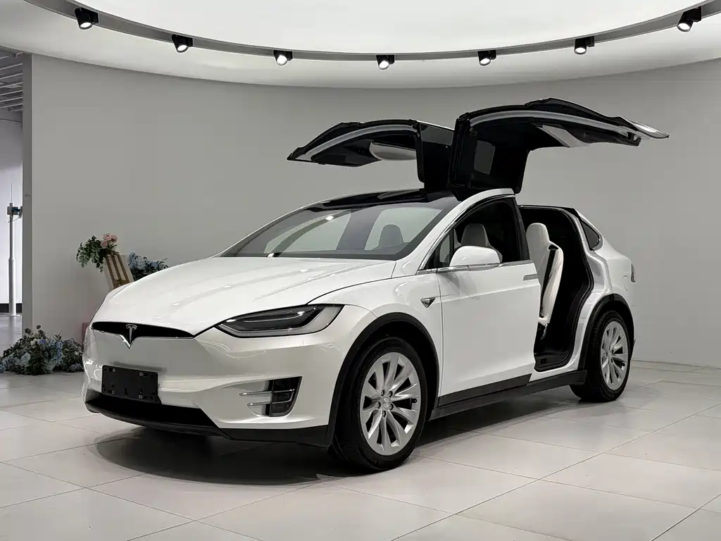 Tesla Model X 2019