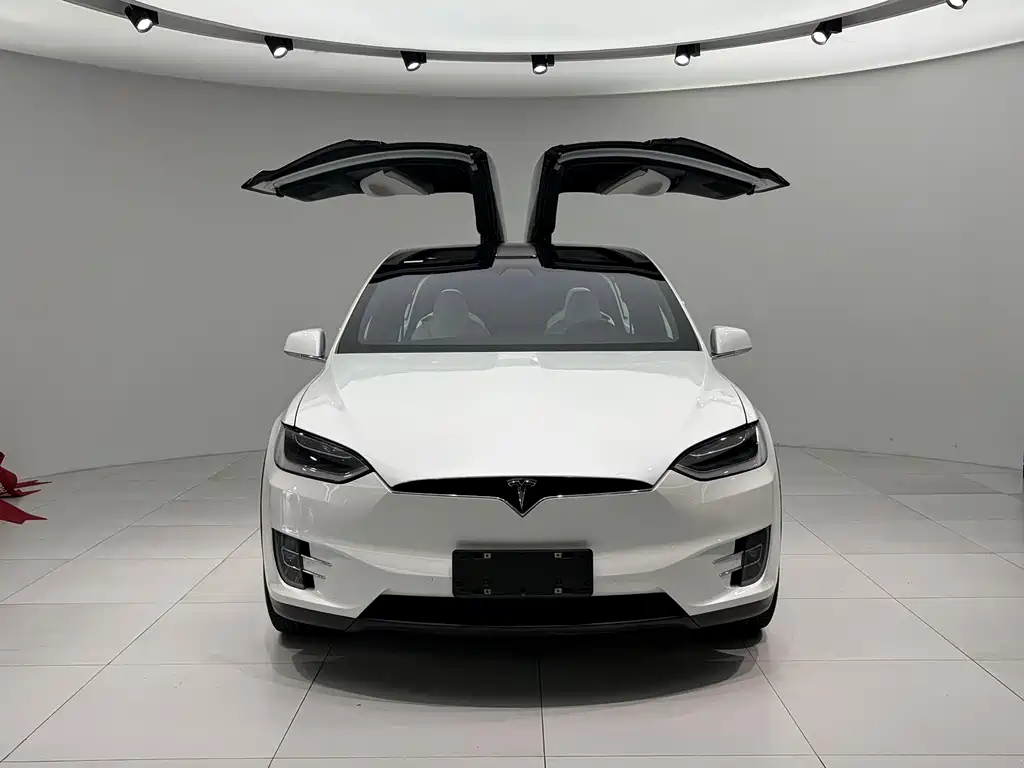 Tesla Model X 2019