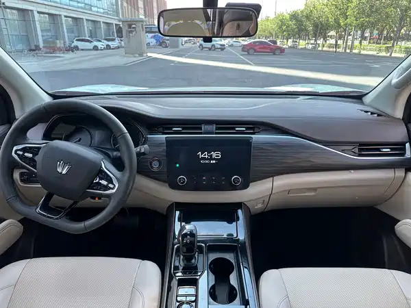 Dongfeng Paladin 2024