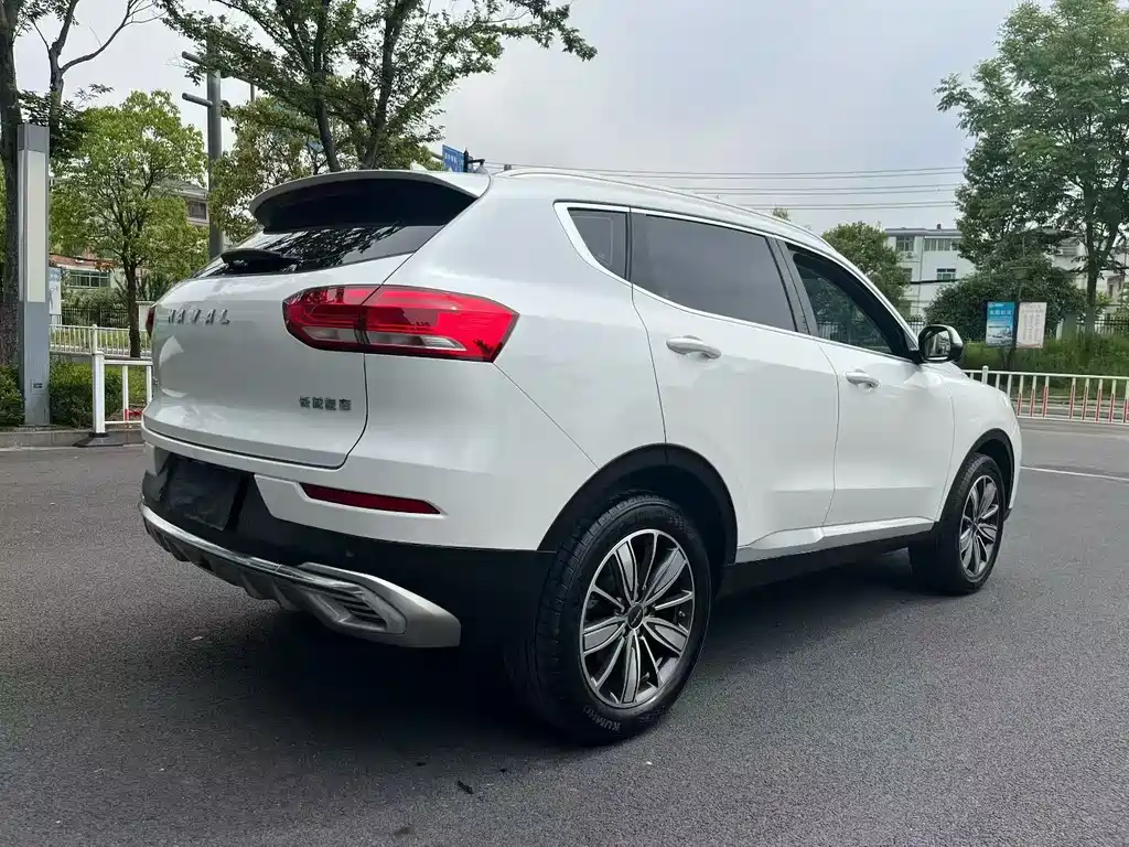 Haval H6 2021 — фото 8