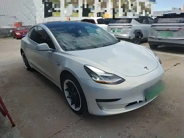Tesla Model 3 2019