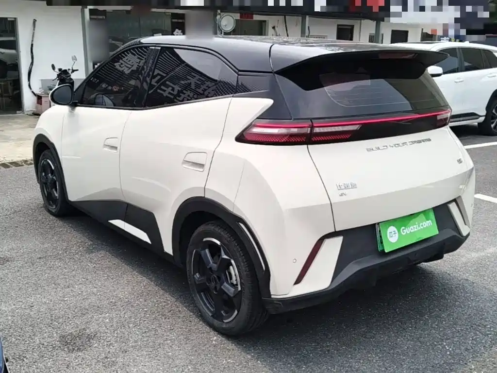BYD Seagull 2024