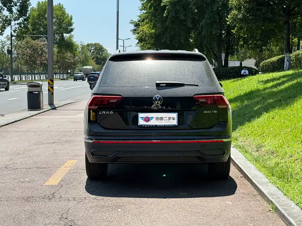 Volkswagen Tiguan L 2024