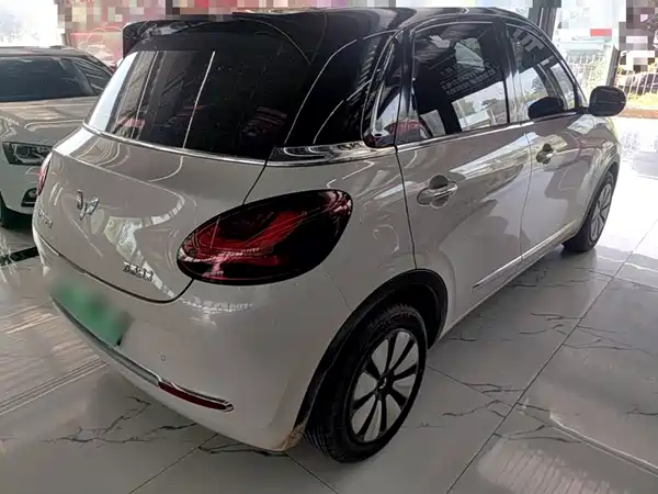 Wuling Bingo 2024