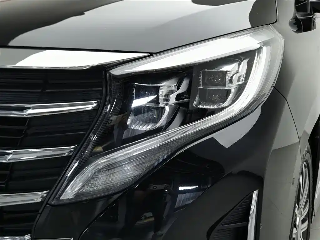 GAC Motor Trumpchi M8 2021 — фото 7