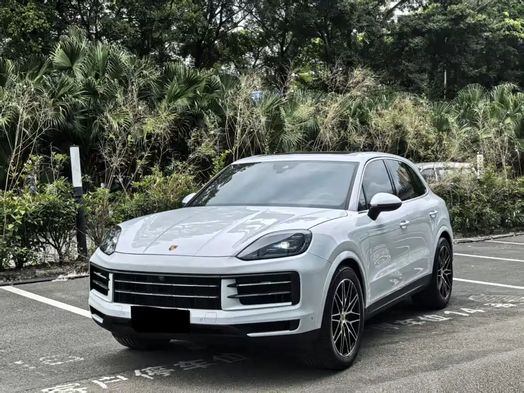 Porsche Cayenne 2025 — фото 1