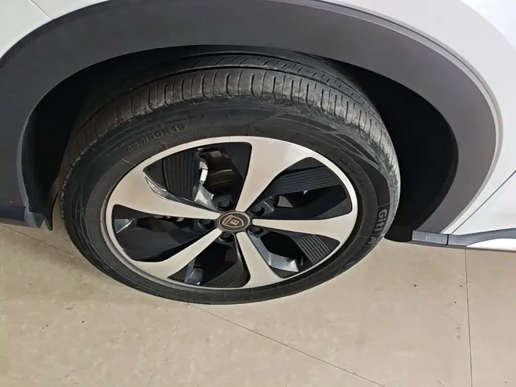 BYD Song PLUS New Energy 2023 — фото 23