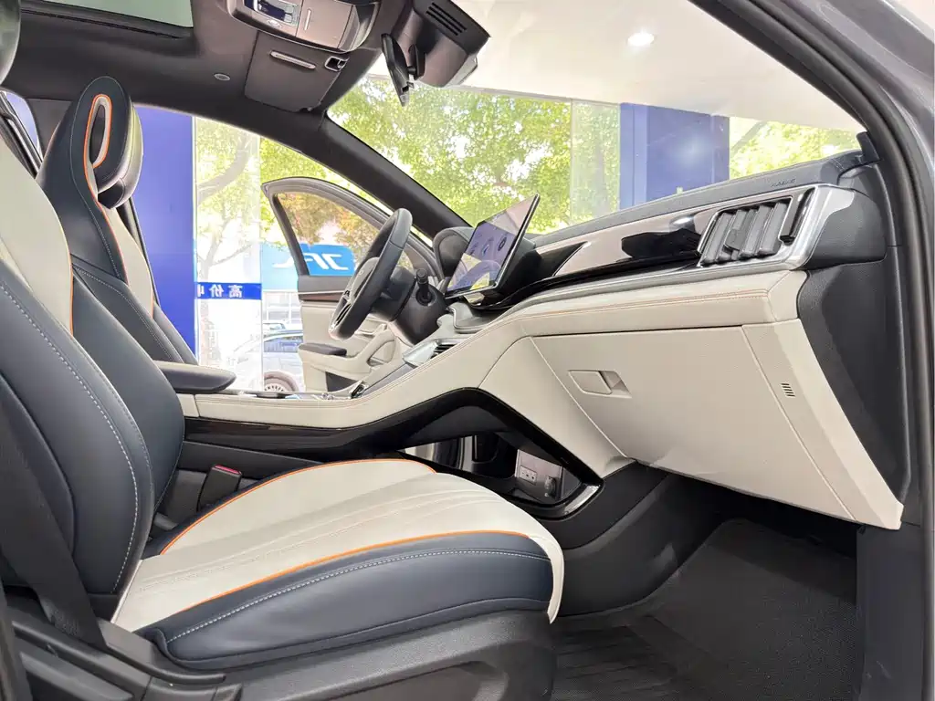 BYD Song PLUS New Energy 2024 — фото 13